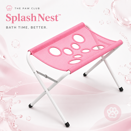 SplashNest